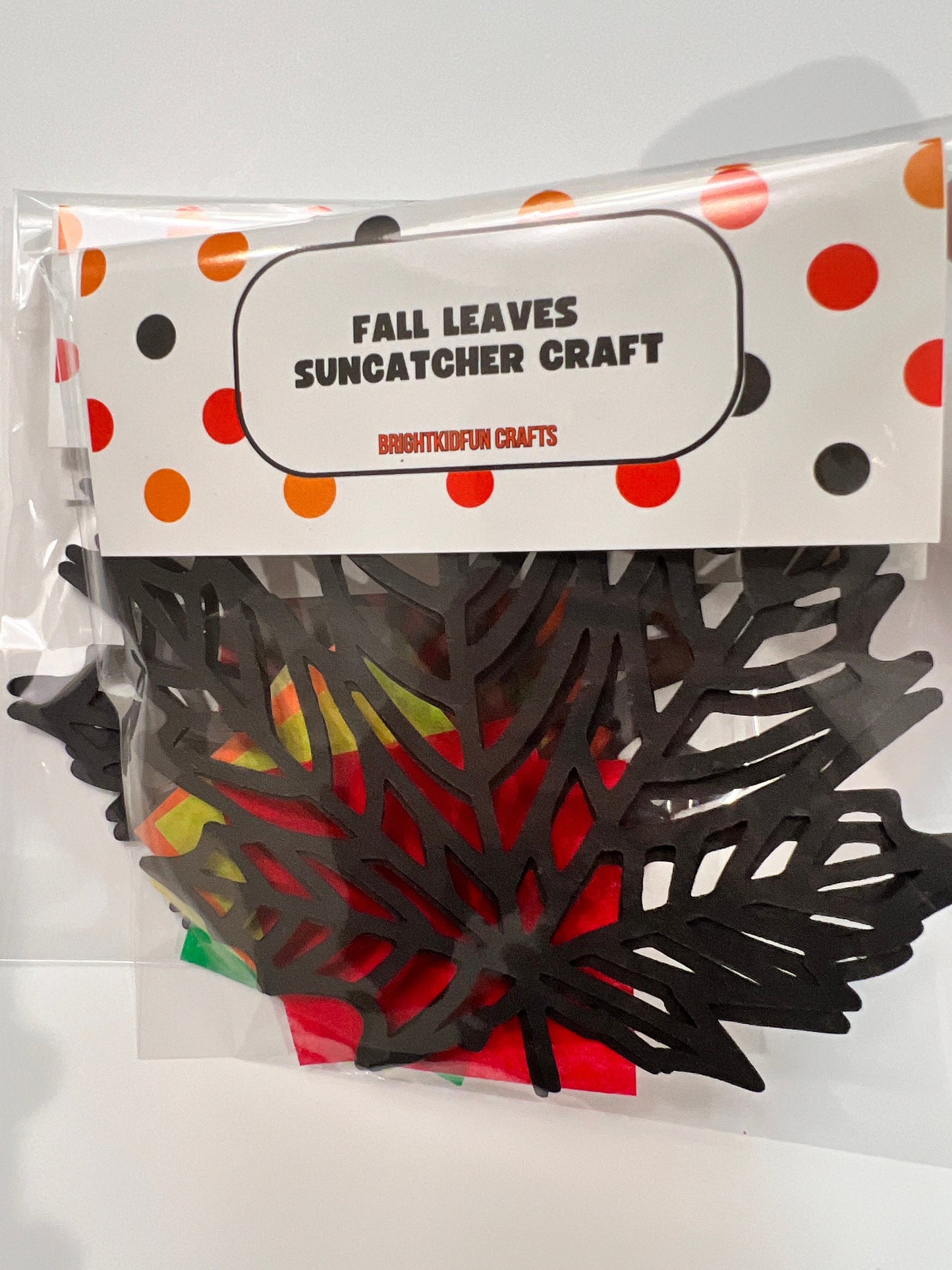 FALL LEAVES SUNCATCHER| Thanksgiving craft kit|