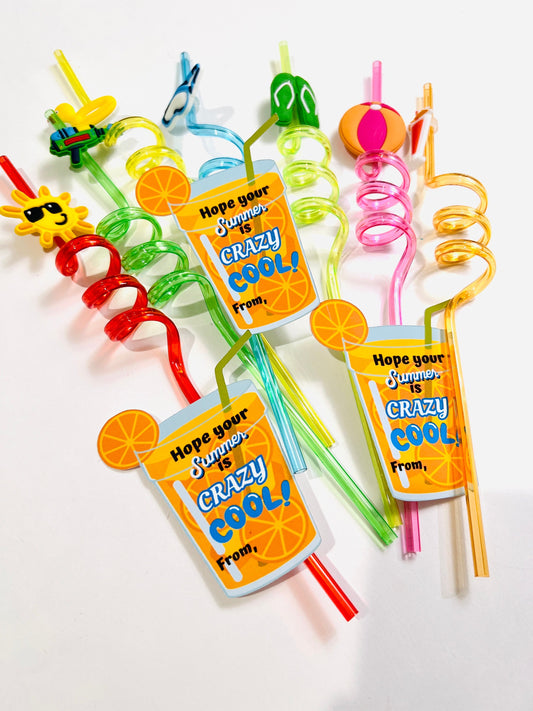 Summer party gifts for kids/ Pool party gifts/ beach theme favors